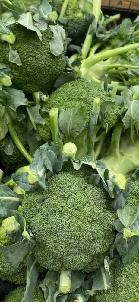 ブロッコリー