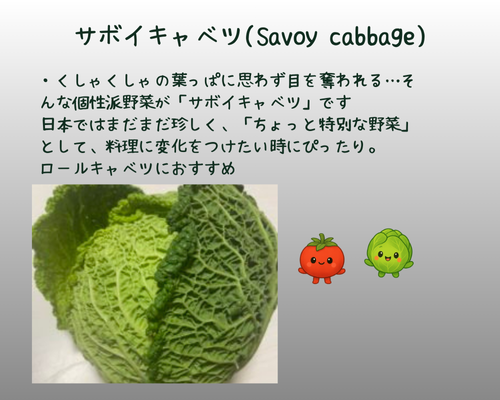 サボイキャベツ