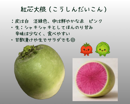 紅芯大根