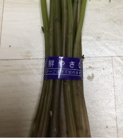 alt="赤みずの茎"