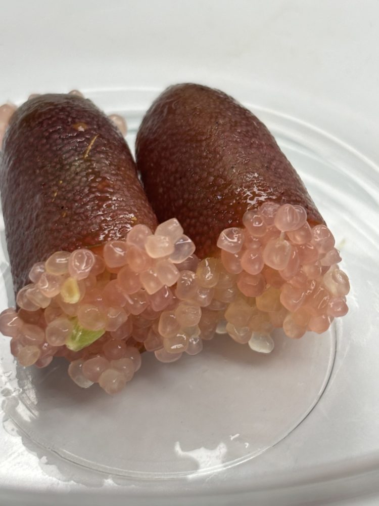 フィンガーライム中身
