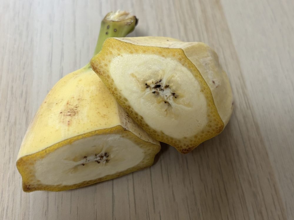 ラニーバナナカット断面図
