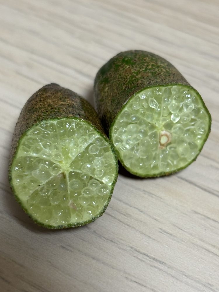 フィンガーライム断面図